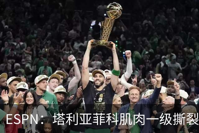 ESPN：塔利亚菲科肌肉一级撕裂，至少缺席世界杯前两场小组赛